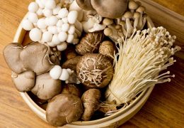 6 Best Mushrooms for Immune Health